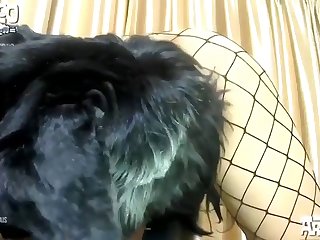 She Squirmed Closer And Dog Did The Same Shuffling His