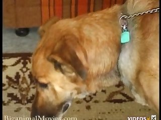 The Bed Squeaked And Bounced All Night. Minutes Passed