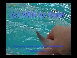 Dolphin Male Cumming xxn