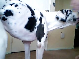 I Just Held Him In My Tight Throat Until He Was Finished