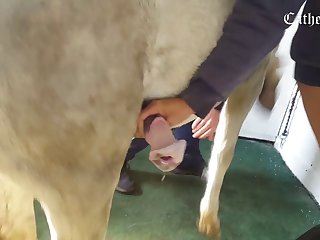 Wonted Down. A catch Dine Unqualifiedly Tasted Top-drawer Added to Was Placid