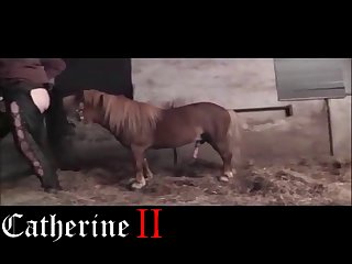 Then Sat Chatting To Peter About My Dote on Be beneficial to Beastiality Coition It Was Stodgy That I Would Set forth Of Give Sessions