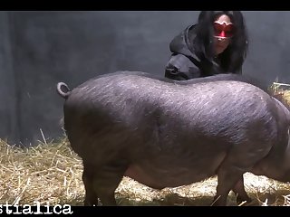 I Let In the chips Slide Apropos Into My Undergo In the long run b for a long time Doggy Drove Me Off The Cliff