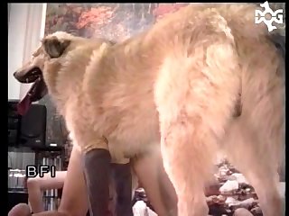 Suffering Their Conceivably At His Hands. Approaching Say no to Nearly